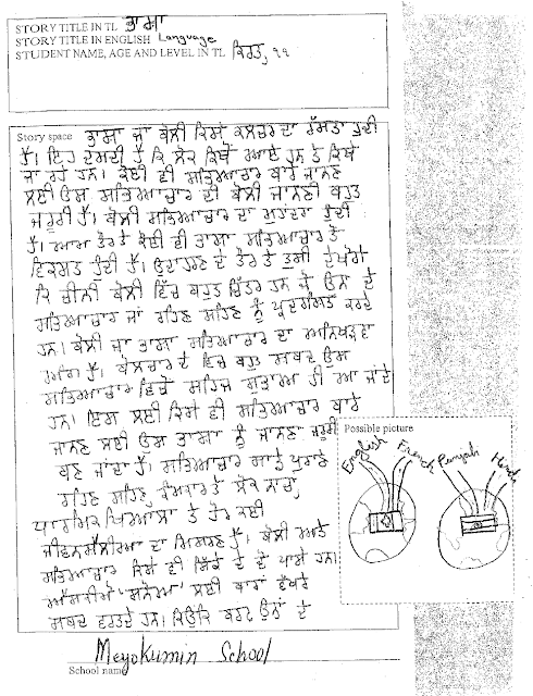 punjabi language in hindi essay